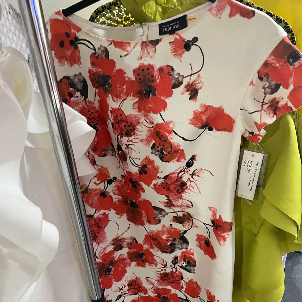 New with tags Teri Jon Dress